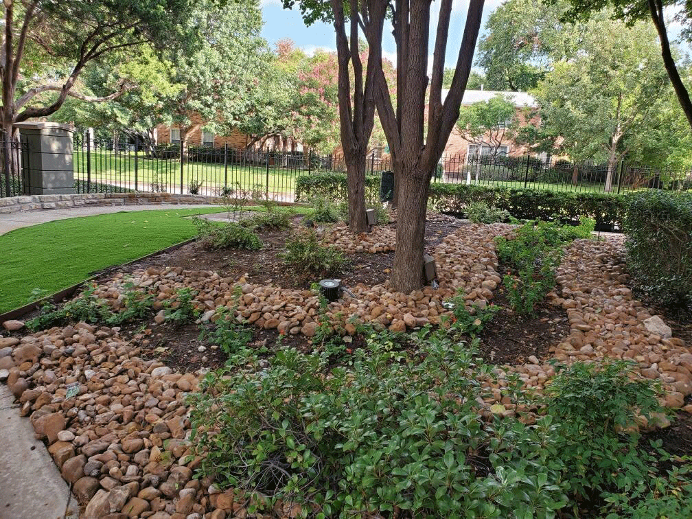 Outdoor landscaping - Alto at Highland Park