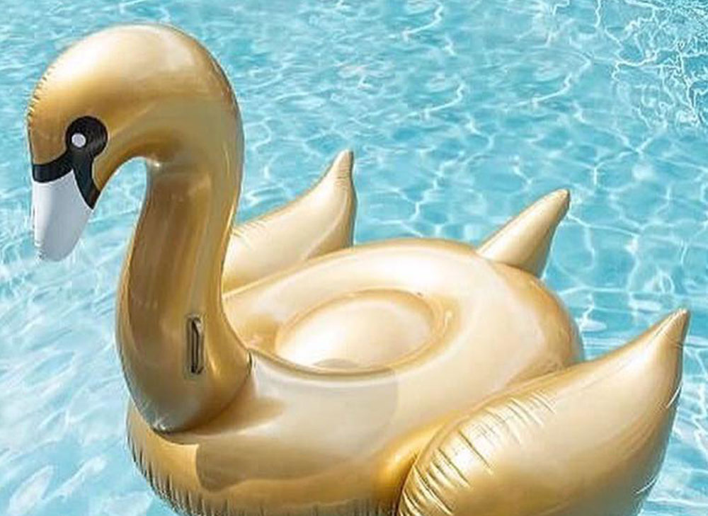 Swan pool float